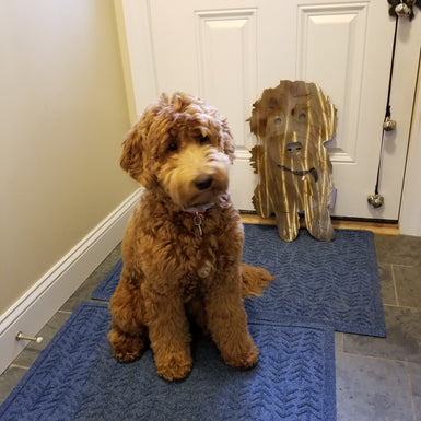 Custom Dog - MetalCraft Design
