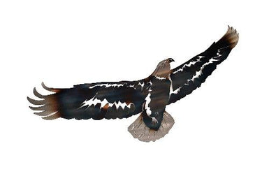 Eagle Flying Metal Wall Art - MetalCraft Design