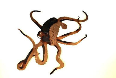 Octopus Wall Art - MetalCraft Design